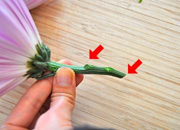 3 How to - How to make flower arrangement. Inserting a circle shape.