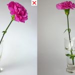 How to arrange one flower in a vase with stem