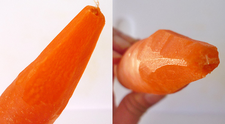 Carrot flower, making carrot flower base step 2
