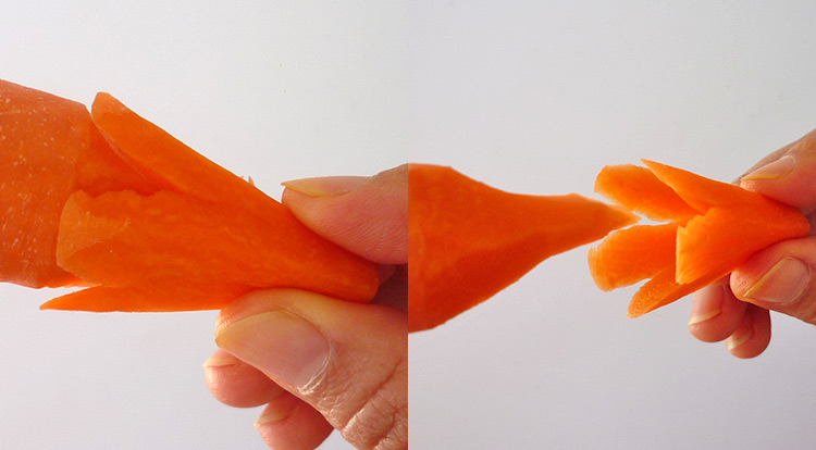 Carrot flower, remove a flower from the  carrot step 1