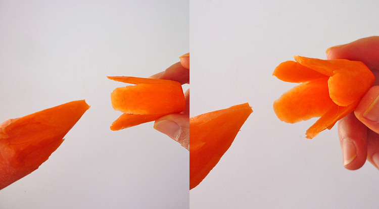 Carrot flower,  remove a flower from the carrot