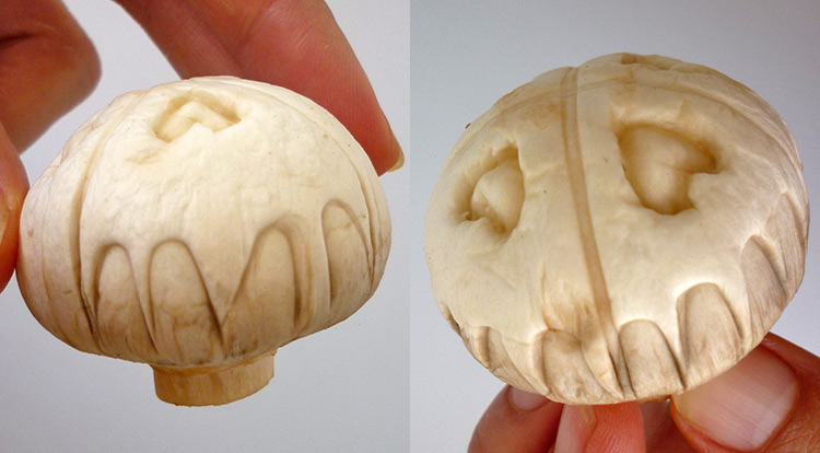 Mushroom art, a simple pattern with four hearts on a mushroom, creating side patterns, finish