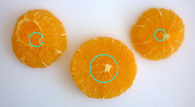 Orange art, Orange chain, slicing orange and making hole in the center step 4