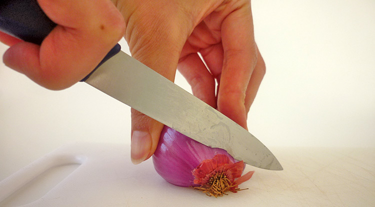 How to use a paring knife, 8 ways to use paring knives in food decoration, cutting small objects example 1 