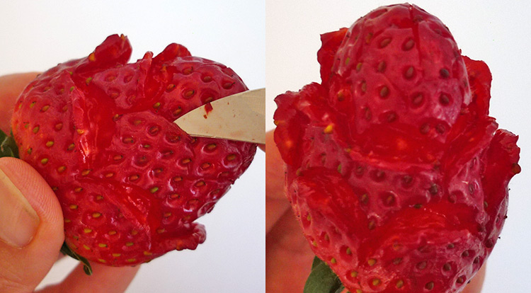 Strawberry rose, creating petals on level two step 2