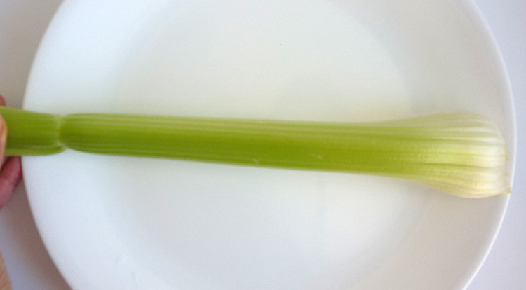 Food art with starry celery tree, measure celery tree height with a plate