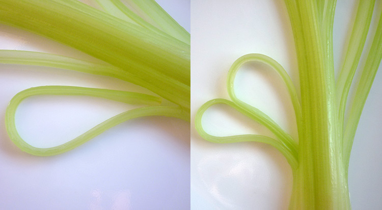 Food art with starry celery tree, making curly celery step 1