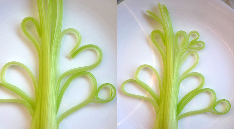 Food art with starry celery tree, making curly celery step 3