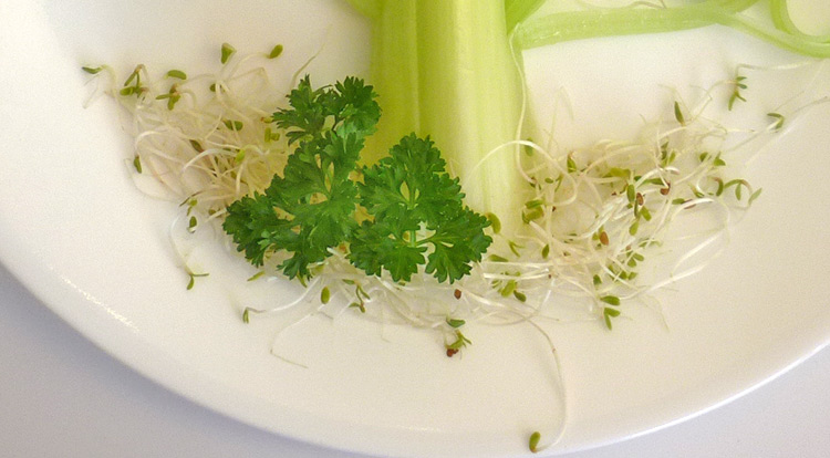Food art with starry celery tree, decoration with alfalfa sprouts and parsley step 1